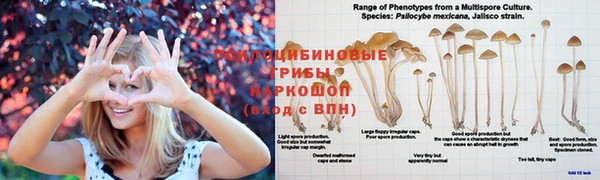 метамфетамин Балахна