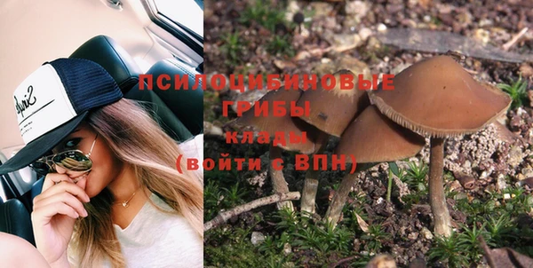 трава Баксан