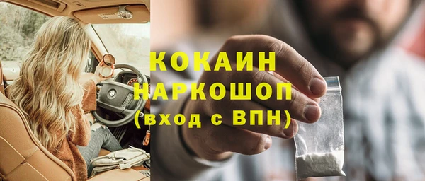 соль ск Ветлуга