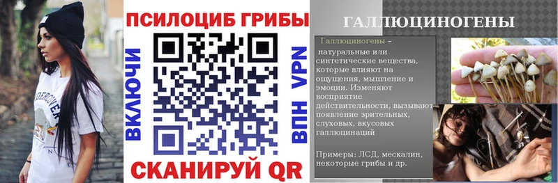 Галлюциногенные грибы Psilocybine cubensis  Горнозаводск 